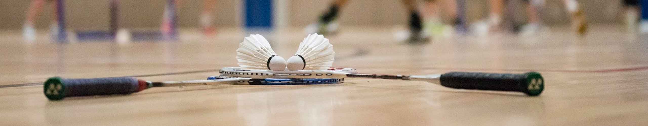  Design & Development Case Study for Yeovil Badminton Club